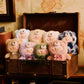 Teddy lulu pig vynil plush blind box (original)