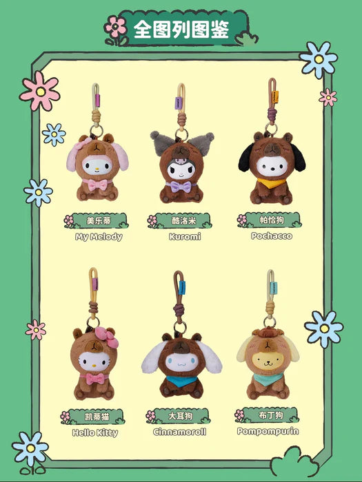 Hello kitty and friends capybara blind box Sanrio original